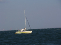 IMG_0136.jpg
