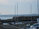 IMG_3339.jpg