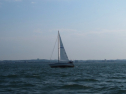 IMG_3342.jpg