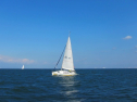 IMG_3346.jpg