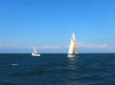 IMG_3348.jpg
