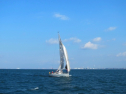 IMG_3350.jpg