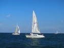 IMG_3353.jpg