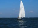 IMG_3355.jpg