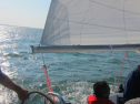 IMG_3363.jpg