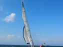 IMG_3365.jpg