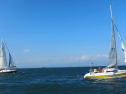 IMG_3367.jpg