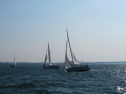 IMG_3368.jpg