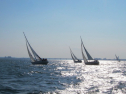 IMG_3372.jpg