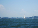 IMG_3388.jpg