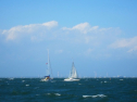 IMG_3394.jpg