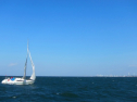 IMG_3397.jpg