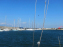 IMG_3398.jpg
