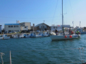 IMG_3399.jpg