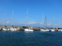 IMG_3400.jpg