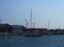 IMG_3403.jpg