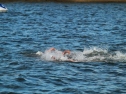 IMG_5889.jpg