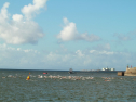 IMG_5942.jpg