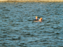 IMG_5977.jpg