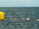IMG_5984.jpg