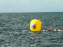 IMG_5985.jpg