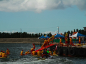 IMG_6040.jpg
