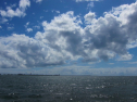 IMG_2683.jpg