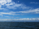 IMG_2685.jpg