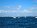 IMG_2689.jpg