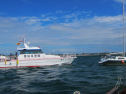 IMG_2696.jpg