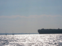 IMG_2911.jpg