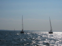 IMG_2912.jpg