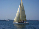 IMG_2923.jpg