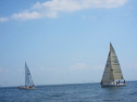 IMG_2928.jpg