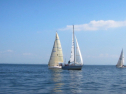 IMG_2929.jpg