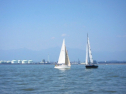IMG_2945.jpg