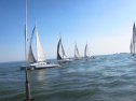 IMG_2994.jpg