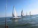 IMG_2996.jpg