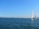 IMG_1180.jpg