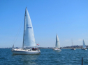 IMG_1181.jpg