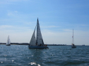 IMG_1185.jpg
