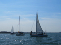 IMG_1186.jpg