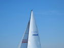 IMG_1201.jpg