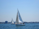 IMG_1202.jpg