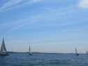 IMG_1214.jpg