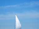 IMG_1222.jpg