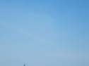 IMG_1230.jpg