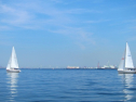 IMG_1233.jpg