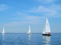 IMG_1235.jpg