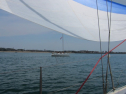 IMG_1238.jpg